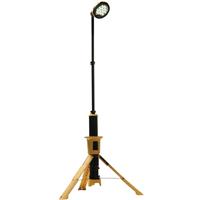 9440 Remote Area Light